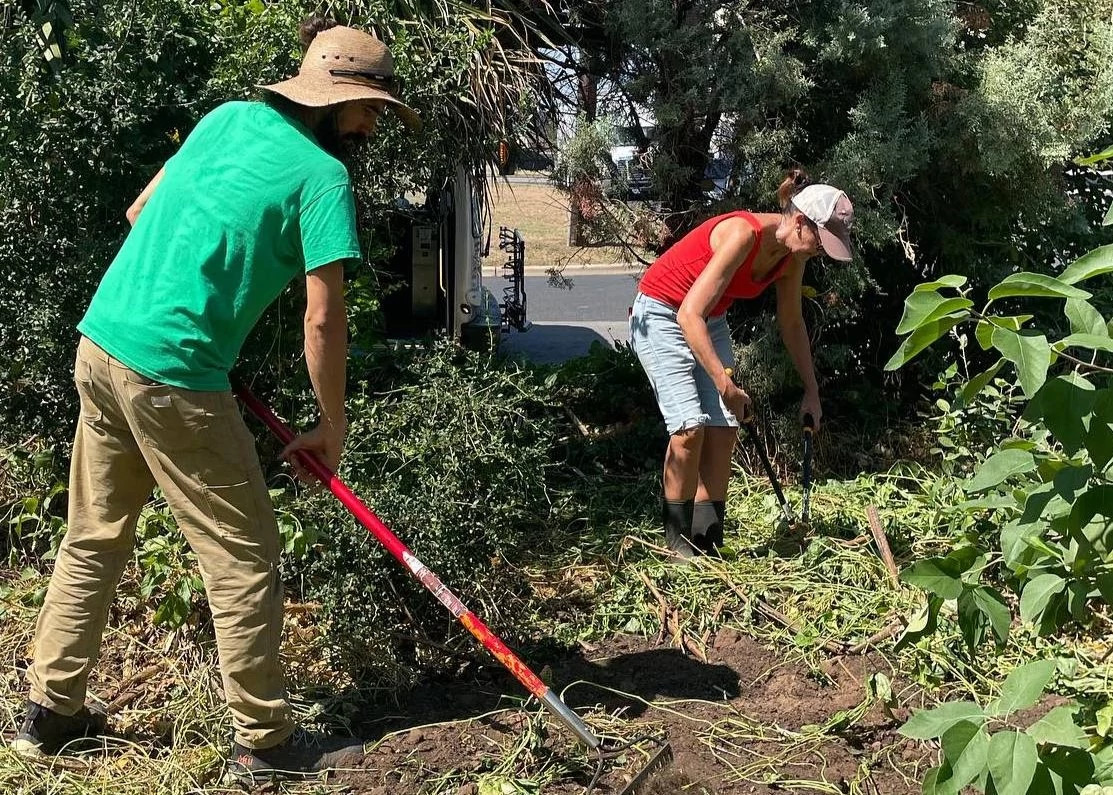 FestivalBeachFoodForestvolunteers landscape